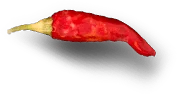 chilli-2
