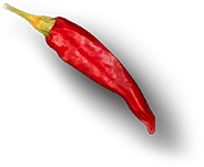 chilli