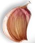 onion-5