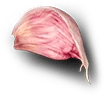 onion