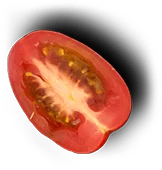 tomato